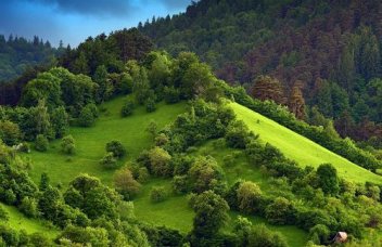 Poiana Brasov